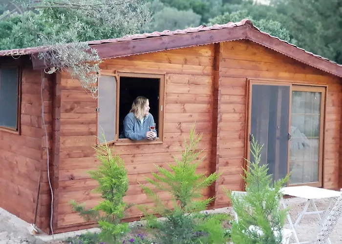 Lantgård Artolive *