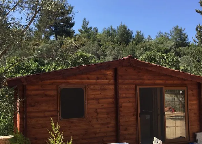 Lantgård Artolive *