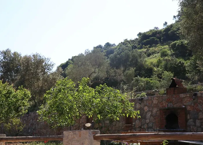 Artolive Farma Datça