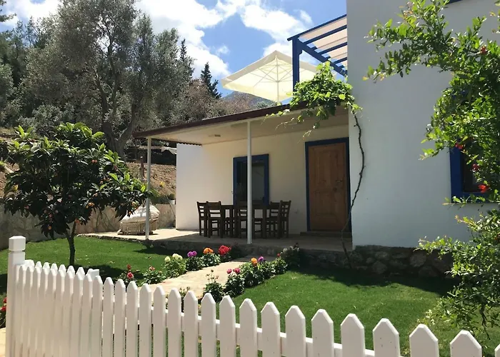 Artolive Lantgård *