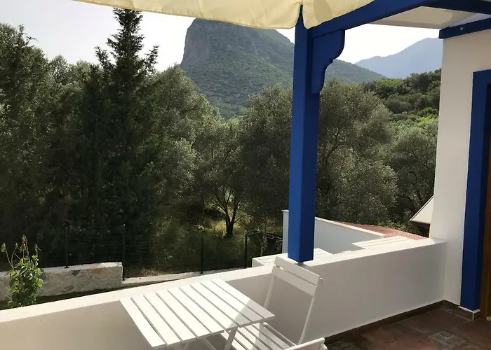 Artolive Farma Datça