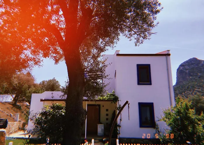 Artolive Lantgård Datça